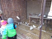 Vánoční výlet - Ekocentrum Mladá Boleslav